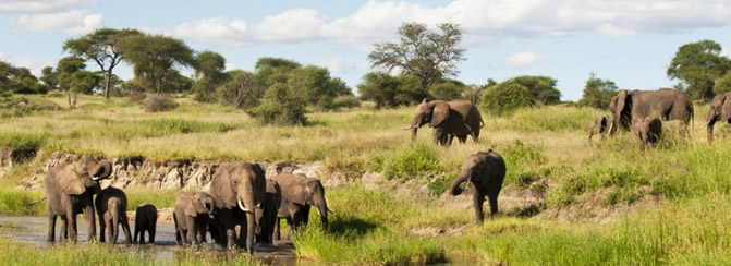 Taragire national park