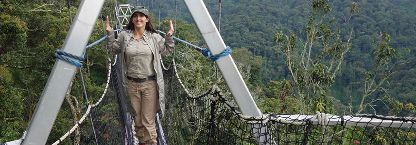 canopy walk in nyungwe forest