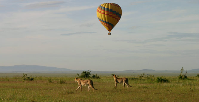 Uganda safaris