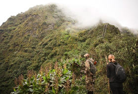 Virunga Volcanoes in Mgahinga