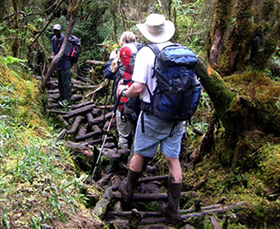 Rwenzori mountains