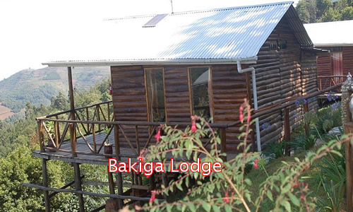 Lodges in Bwindi Forest