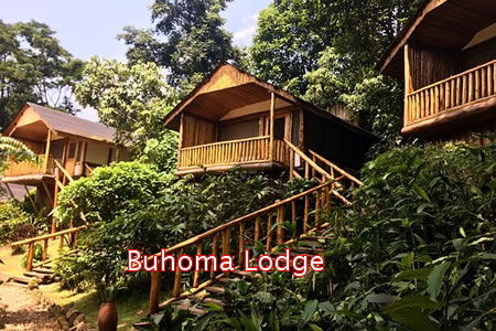 Lodges in Bwindi Forest