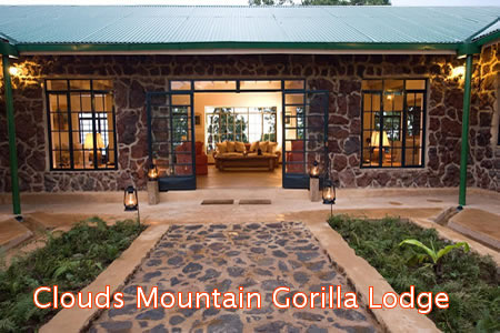 Lodges in Bwindi Forest