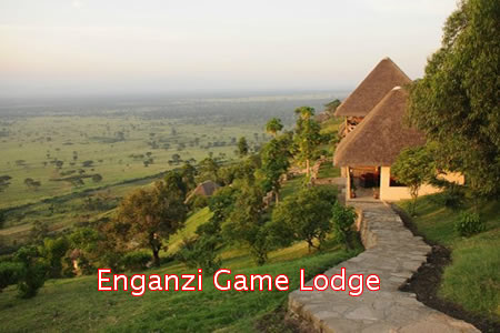 Lodges in Queen Elizabeth National park