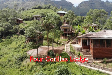 Lodges in Bwindi Forest