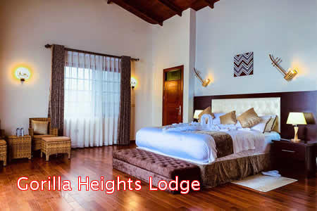 Lodges in Bwindi Forest