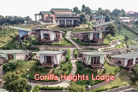 Lodges in Bwindi Forest