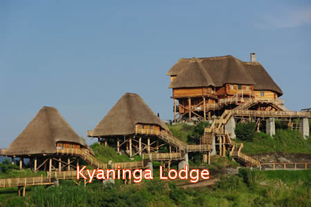 Luxury Lodges in Kibale Forest