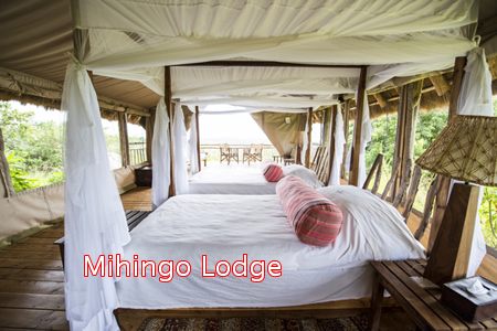 Luxury lodges in Lake Mburo National park