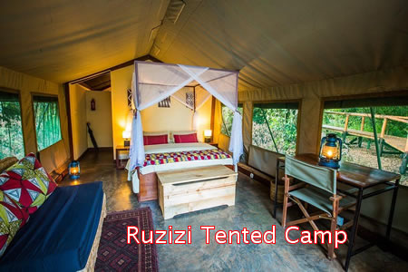 Accommodation in Akagera National Park