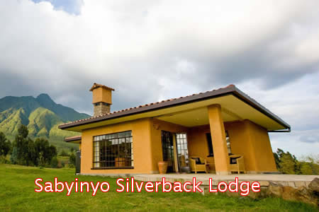 Luxury Lodges in Volcanoes National Park