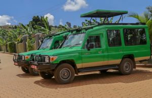 gorilla tours from kigali