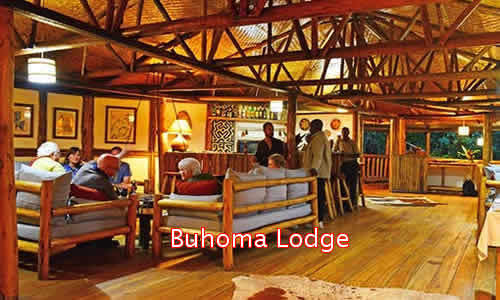 Lodges in Bwindi Forest