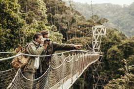 Nyungwe National Park